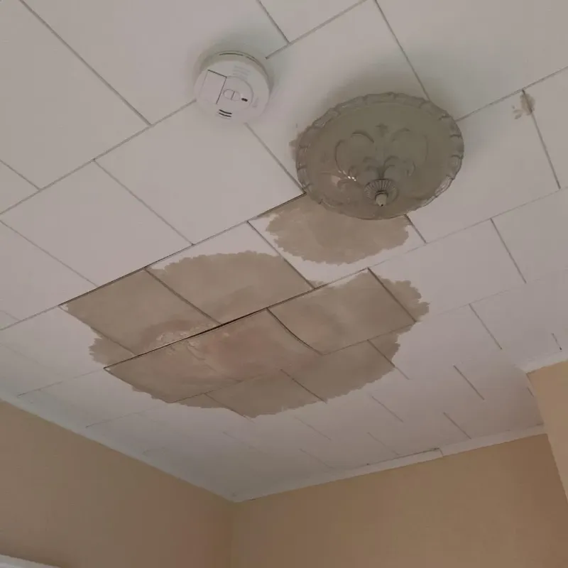 Ceiling Water Damage Repair in Hyde Park, VT