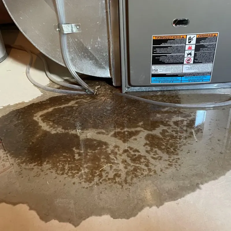 Pipe Burst and Leak Restoration in Hyde Park, VT