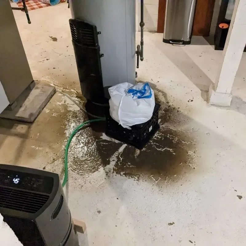 Sewage Backup Cleanup Service in Hyde Park, VT